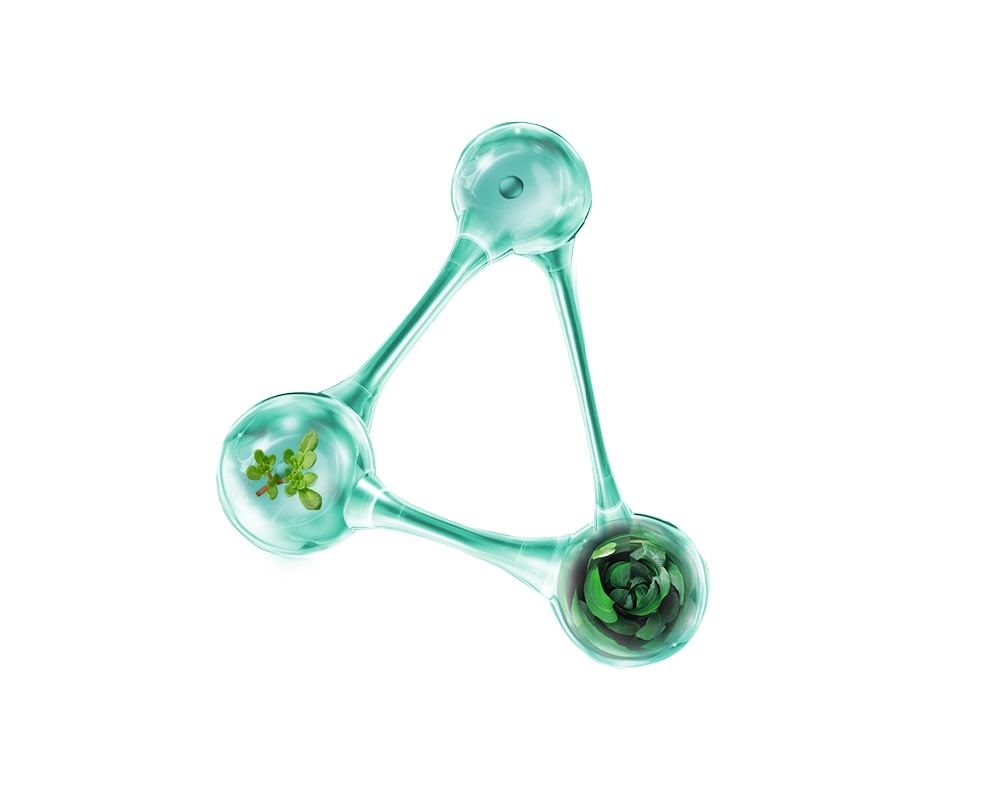 協(xié)和護(hù)膚品協(xié)和西敏修護(hù)冷凝膠 涂一涂 輕松應(yīng)對三伏天